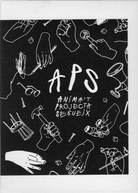 APS, ANIMA'T, PROJECTA, SEGUEIX