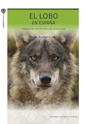 El lobo en España