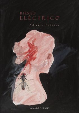 Riesgo eléctrico