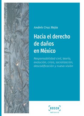 Hacía el derecho de daños en México