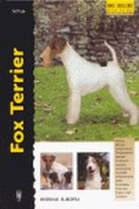 FOX TERRIER