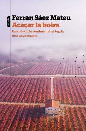 Acaçar la boira