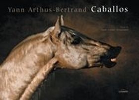 Caballos