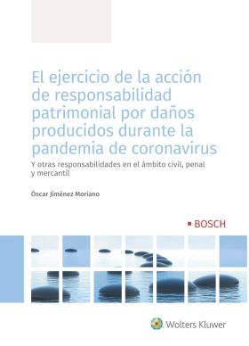 EL EJERCICIO DE LA ACCIÓN DE RESPONSABILIDAD PATRI