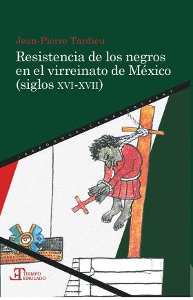RESISTENCIA DE LOS NEGROS EN EL VIRREINATO DE MEXI