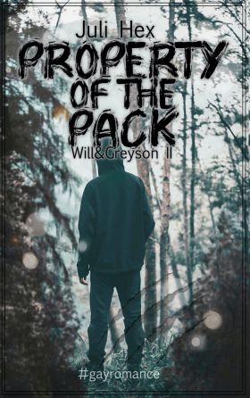 PROPERTY OF THE PACK