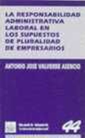 RESPONSABILIDAD ADMINISTRATIV