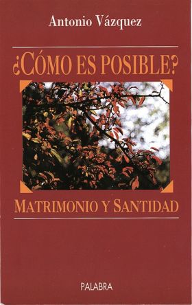 COMO ES POSIBLE MATRIMONIO Y SANTIDAD