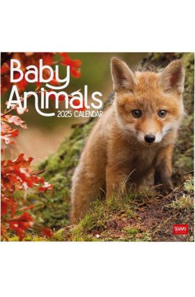 WALL CALENDAR - 2025 WALL CALENDAR - BABY ANIMALS - 30X29 - ANIMALS LEGAMI