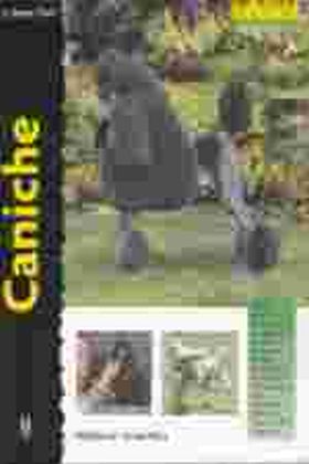 CANICHE