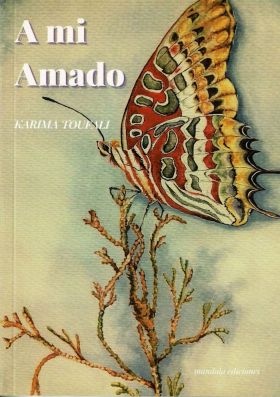 A mi Amado