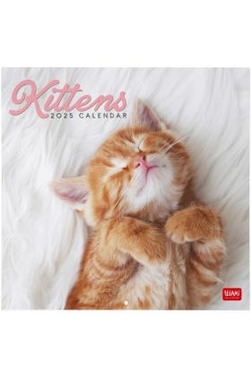 WALL CALENDAR - 2025 WALL CALENDAR - KITTENS - 30X29 - CATS LEGAMI