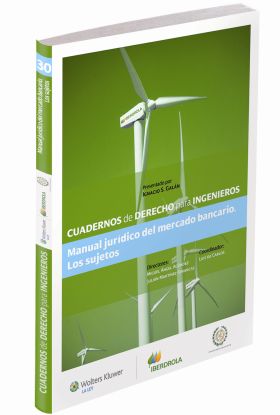 Cuadernos de Derecho para Ingenieros (n.º 30)