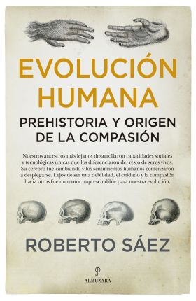 EVOLUCION HUMANA: PREHISTORIA Y ORIGEN DE LA COMPA