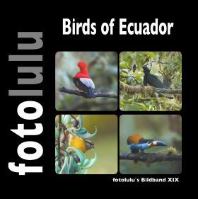 BIRDS OF ECUADOR