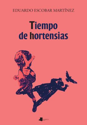 TIEMPO DE HORTENSIAS