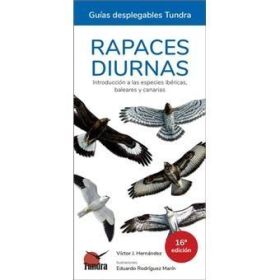 RAPACES DIURNAS 16ª EDICION - GUIAS DESPLEGABLES TUNDRA