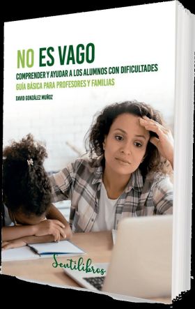 NO ES VAGO