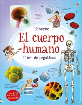 EL CUERPO HUMANO