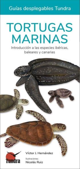 TORTUGAS MARINAS - GUIAS DEPLEGABLES TUNDRA
