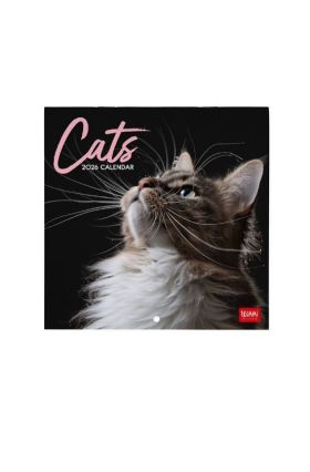 WALL CALENDAR - 2026 WALL CALENDAR - CATS - 18X18 - CATS LEGAMI