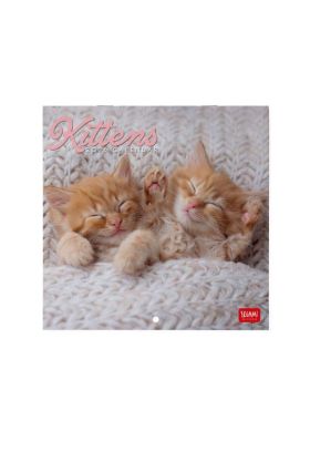 WALL CALENDAR - 2026 WALL CALENDAR - KITTENS - 18X18 - CATS LEGAMI