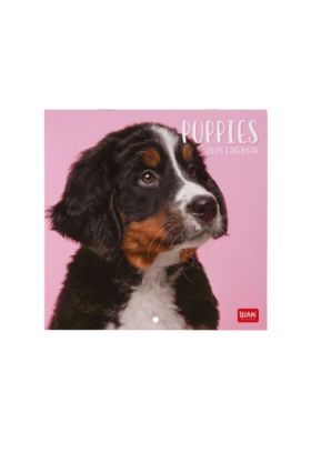 WALL CALENDAR - 2026 WALL CALENDAR - PUPPIES - 18X18 - DOGS LEGAMI