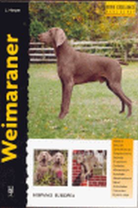 WEIMARANER