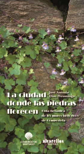 LA  CIUDAD DONDE LAS PIEDRAS FLORECEN