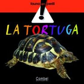 LA TORTUGA