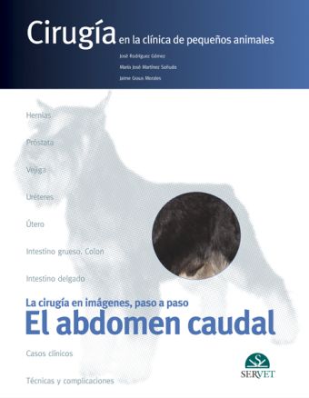 Cirugía en la clínica de pequeños animales. El abdomen caudal