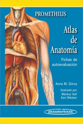 PROMETHEUS. ATLAS DE ANATOMIA. FICHAS DE AUTOEVALU