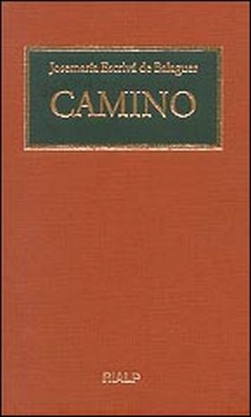 Camino. (Formato biblioteca)