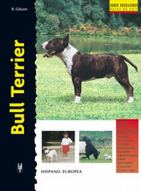 BULL TERRIER