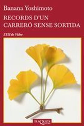Records d'un carreró sense sortida