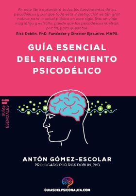 Guía esencial de renacimiento psicodélico