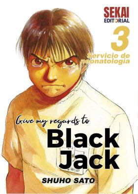 GIVE MY REGARDS TO BLACK JACK 3
