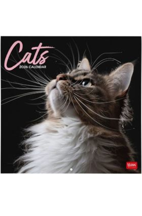 WALL CALENDAR - 2026 WALL CALENDAR - CATS - 30X29 - CATS LEGAMI