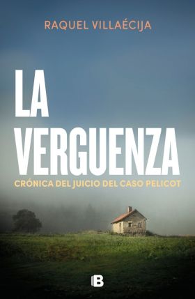 VERGUENZA, LA