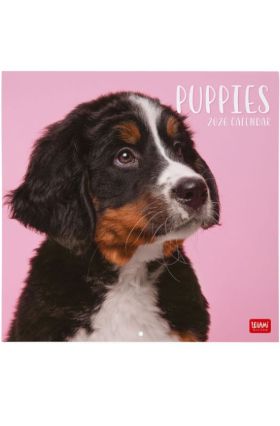 WALL CALENDAR - 2026 WALL CALENDAR - PUPPIES - 30X29 - DOGS LEGAMI