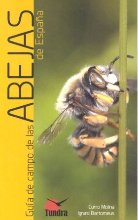 GUIA DE CAMPO DE LAS ABEJAS DE ESPAÑA