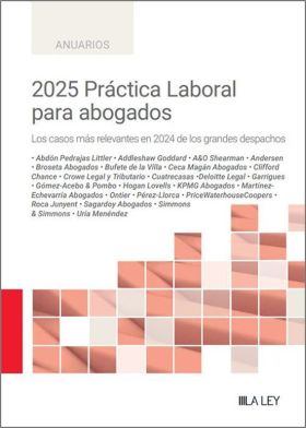 2025 PRACTICA LABORAL PARA ABOGADOS