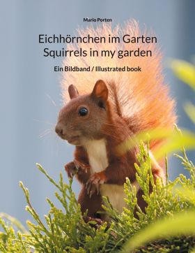 EICHHÖRNCHEN IM GARTEN / SQUIRRELS IN MY GARDEN