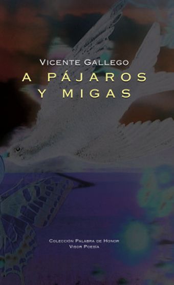 A Pájaros y Migas