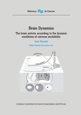 Brain dynamics : the brain activity according to the dynamic conditions of nervo