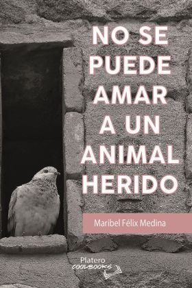 NO SE PUEDE AMAR A UN ANIMAL HERIDO