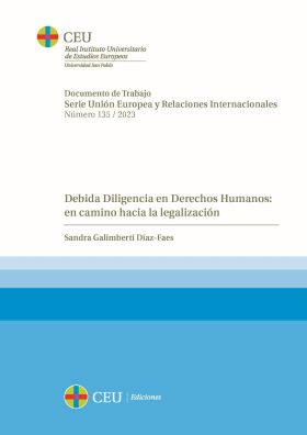 Debida Diligencia en Derechos Humanos: en camino hacia la legalización