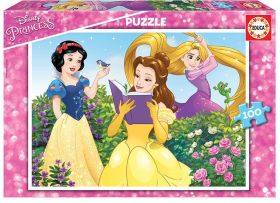 100 PRINCESAS DISNEY