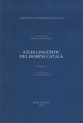 Atles lingüístic del domini català. Volum VI