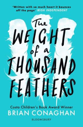 THE WEIGHT OF 1000 FEATHERS